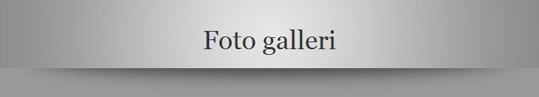 Foto galleri