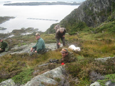alt muligt 127
